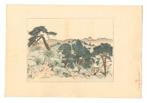 Nakazawa Hiromitsu / Compendium of Japan / No. 40: Senkoji Temple, Onomichi
