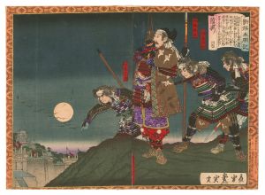 豊宣「新撰太閤記　鳥取城滞陣」