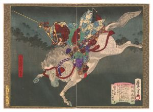 新撰太閤記　中国一騎駆