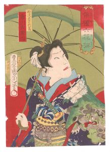 俳優六花撰　松皮菱のお蔦