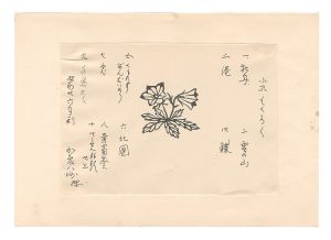 Kato Yasu / Small prints