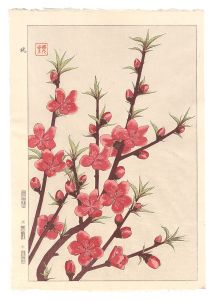 河原崎奨堂「日本の花こよみ　モモ（桃）」