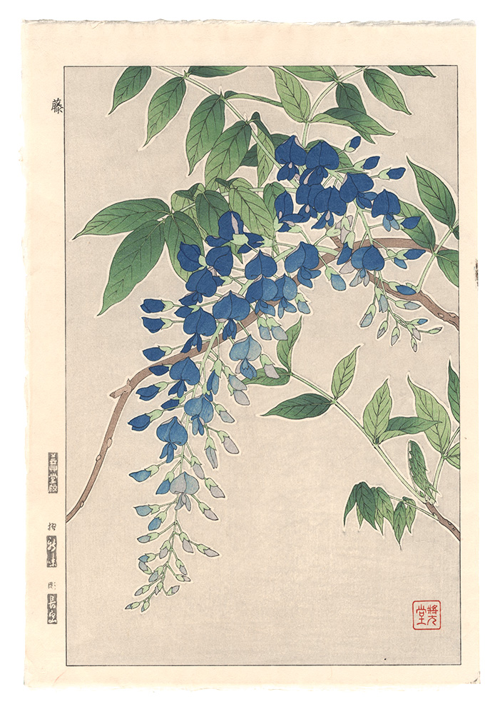 Kawarazaki Shodo “Floral Calendar of Japan / Wisteria”