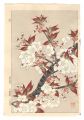 Floral Calendar of Japan / Che......
