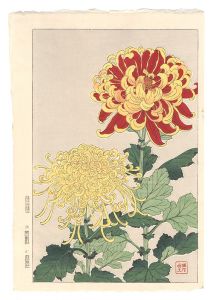 河原崎奨堂「日本の花こよみ　キク（菊）」