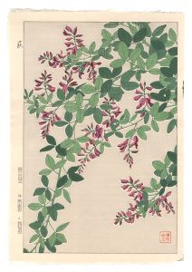 河原崎奨堂「日本の花こよみ　ハギ（萩）」