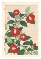 Floral Calendar of Japan / Cam......