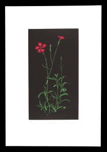 Oda Shigeru / Dianthus No. 2