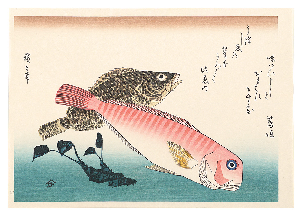 広重初代「魚づくし　あまだい・藻魚にわさび【復刻版】」