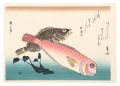 A Series of Fish Subjects / Ti......