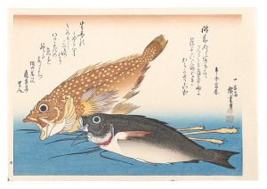 広重初代「魚づくし　かさご・いさきに薑【復刻版】」