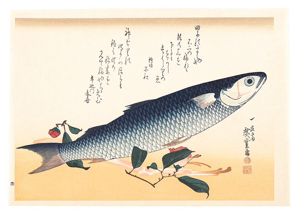 広重初代「魚づくし　ぼらにうど【復刻版】」
