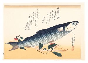 広重初代「魚づくし　ぼらにうど【復刻版】」