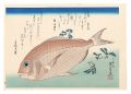 A Series of Fish Subjects / Se......