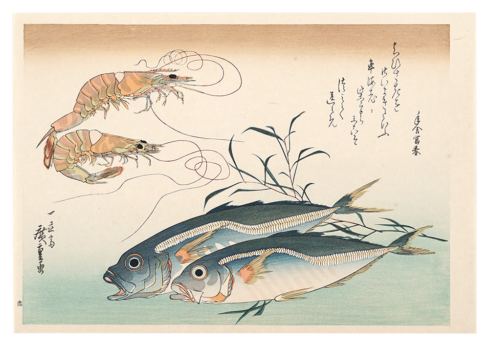 広重初代「魚づくし　車海老・鯵にたで【復刻版】」