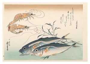 広重初代「魚づくし　車海老・鯵にたで【復刻版】」