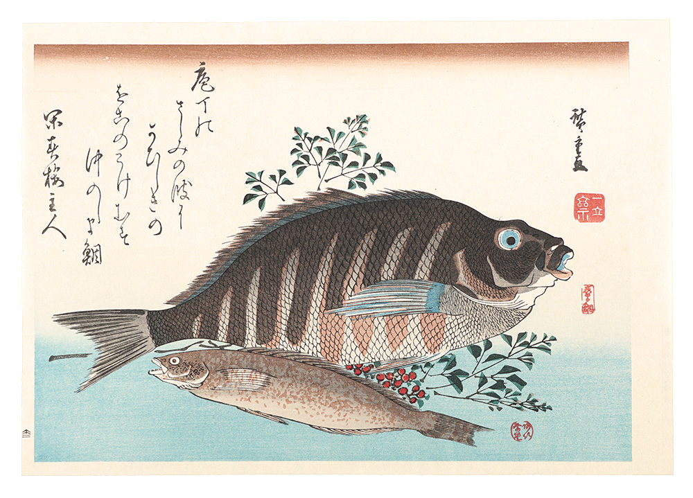 広重初代「魚づくし　しまだい・あいなめに南天【復刻版】」