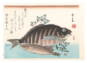 広重初代「魚づくし　しまだい・あいなめに南天【復刻版】」