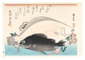 広重初代「魚づくし　ひらめ・めばるに桜【復刻版】」