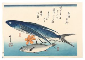 広重初代「魚づくし　飛魚・いしもちに百合【復刻版】」