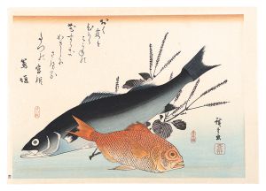 広重初代「魚づくし　すずき・金目鯛にしそ【復刻版】」