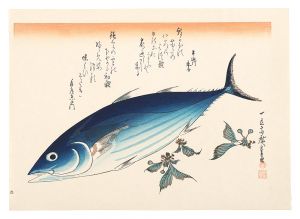 広重初代「魚づくし　鰹に桜【復刻版】」