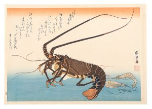 広重初代「魚づくし　伊勢海老・芝蝦【復刻版】」