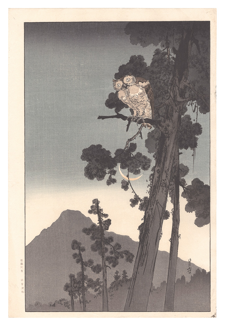 Yoshimoto Gesso “Owl and the Moon (tentative title)”