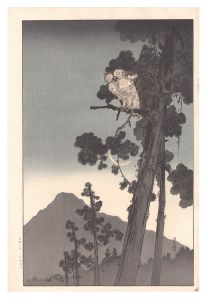 Yoshimoto Gesso / Owl and the Moon (tentative title)