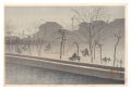 Morning Mist at the Great Brid......