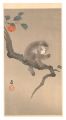 Monkey in Persimmon Tree