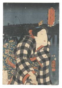 当世夏の富士びたい