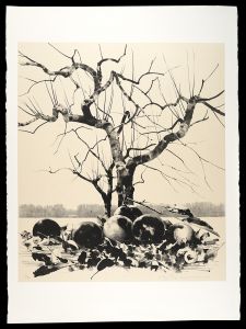 Misu Yuji / Title unknown