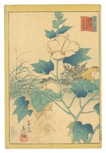 広重二代「三十六花撰　二十七 東都隅田河花屋敷 芙蓉花」