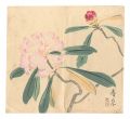 Woodblock Postcards / Collecti......