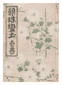 深沢索一編「邪珠蛮土　壱巻」