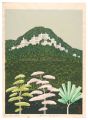 Olive Hill (Tivoli Hill, Subur......