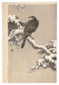 Eagle in Snow (tentative title......