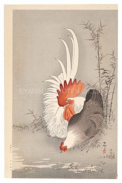 小原古邨（祥邨）「つがいの鶏（仮題）」