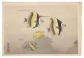 Hawaiian Fish A