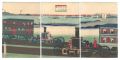 Picture of Steam Locomotives T......