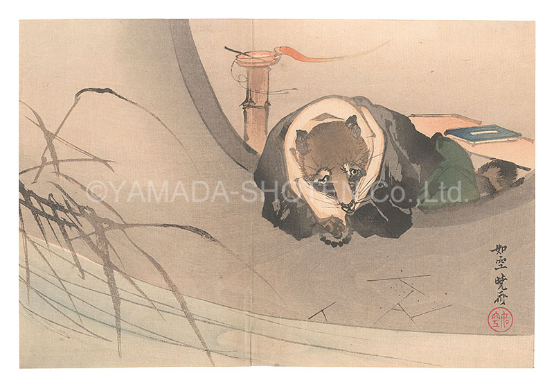 Kyosai “Racoon Dog”