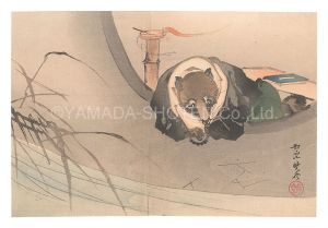 Kyosai / Racoon Dog [狸]