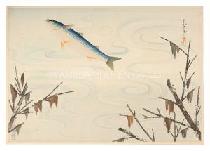 Ono Bakufu / Fish of Japan / Mullet