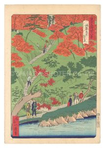 東京名所四十八景　海案寺の紅葉