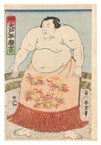 Shunsen / Sumo-e: O'tohira Hirokichi from Sendai [相撲絵　仙台 大戸平廣吉]