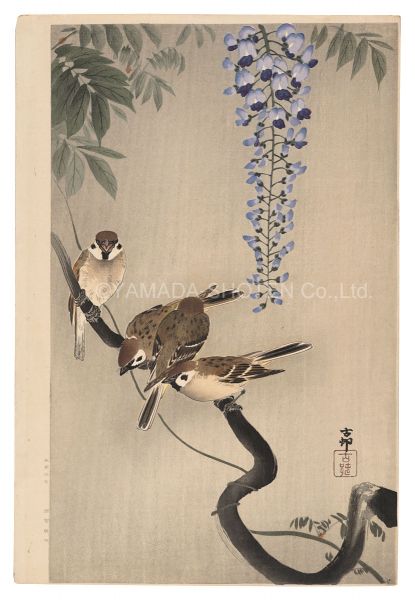 小原古邨（祥邨）「藤に雀（仮題）」