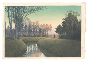 埼玉田宮村