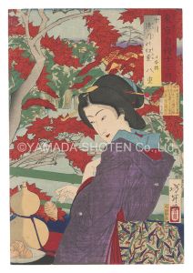 Twelve Months with the Pride of Tokyo / The Tenth Month: Autumn Foliage at Takinogawa