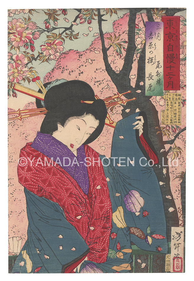 芳年「東京自慢十二ヶ月　三月 吉原の桜」